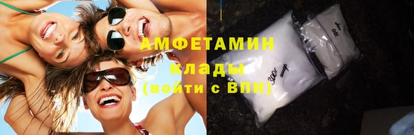 сатива Зеленокумск
