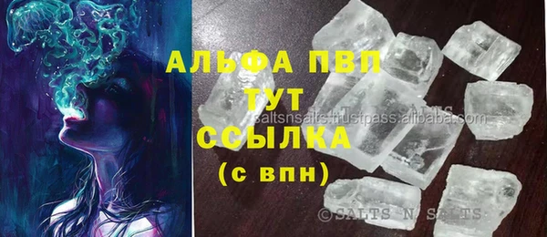 сатива Зеленокумск