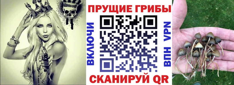 Галлюциногенные грибы мицелий  Купить где  Малгобек 